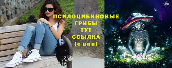 метадон Дмитриев