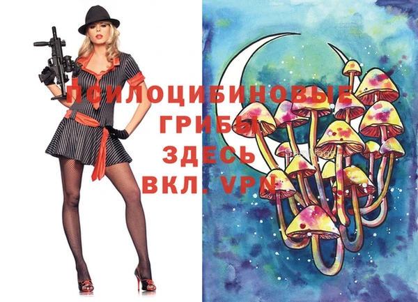 стафф Дмитровск