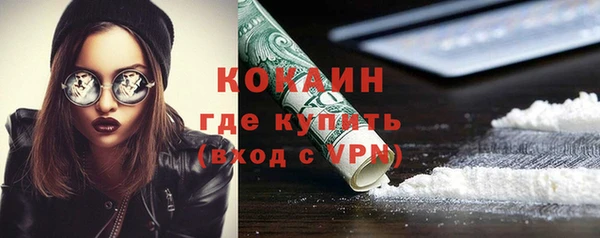 стафф Дмитровск