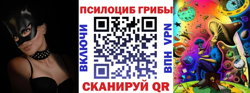 MEGA как войти  Саранск  Псилоцибиновые грибы прущие грибы 